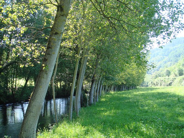 Río Neira