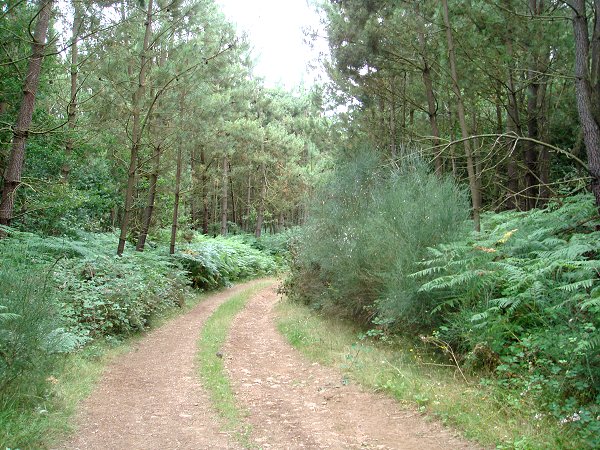 Pasear por Láncara