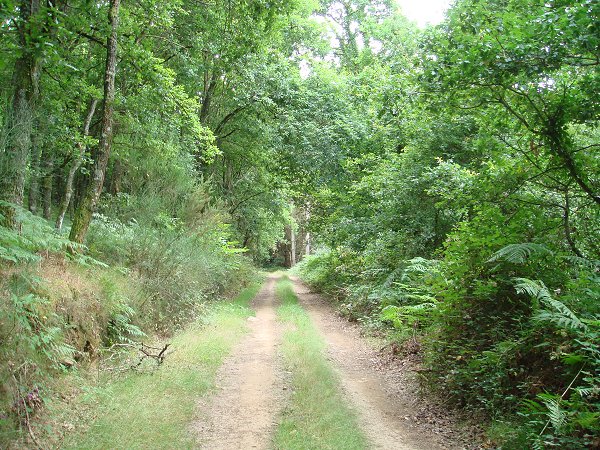 Pasear por Láncara