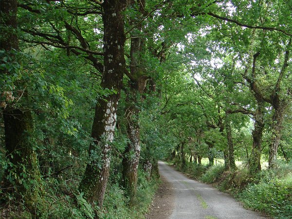 Pasear por Láncara