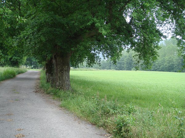 Pasear por Láncara