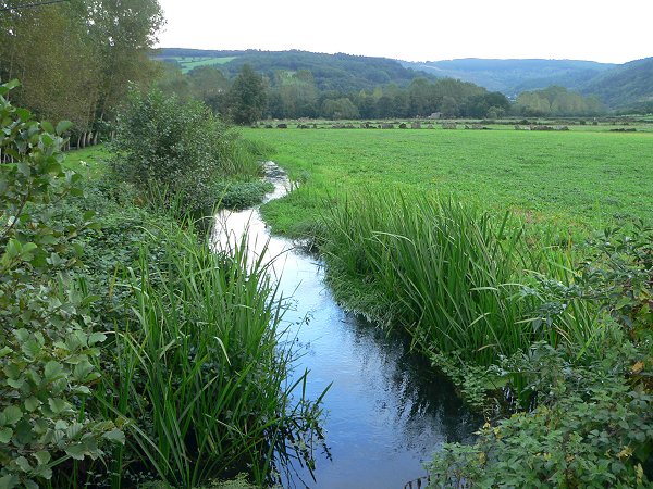 Río Neira