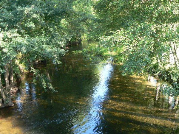 Río Neira
