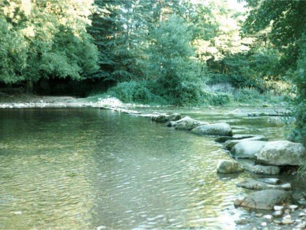 Río Neira