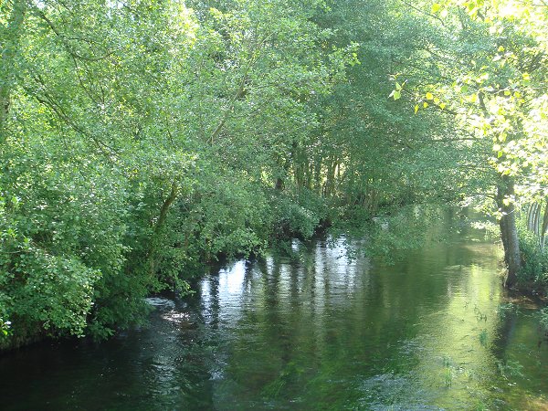 Río Neira